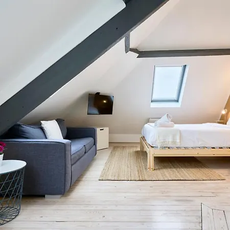 Mansarde A Deux Pas De La Citadelle Lille